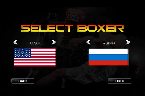 Real 3D Boxing Punch Pro screenshot 2