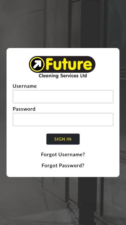 Future Cleaning Services