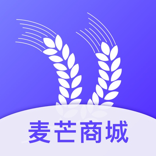 麦芒钱包-2020