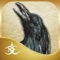 Ask the Spirit Guides Oracle app is here to help you find answers to your questions while you connect with nature