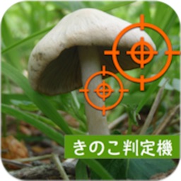 ブッダのことば For Ipad By World History Inc