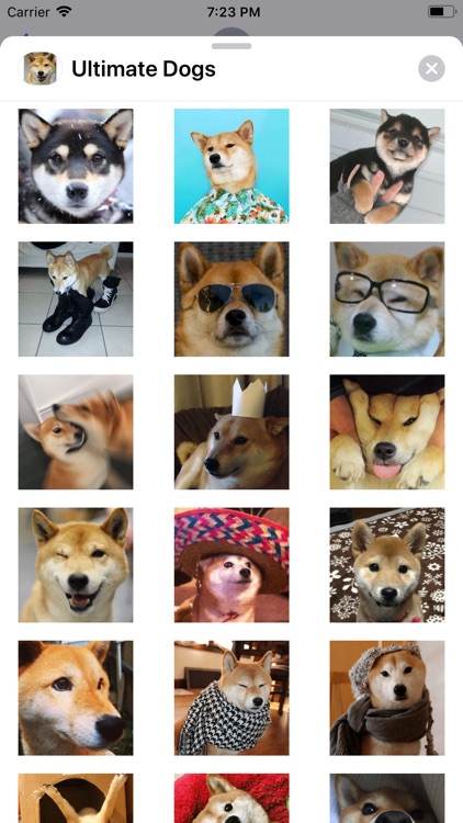 Ultimate Dogs Sticker Pack screenshot-4