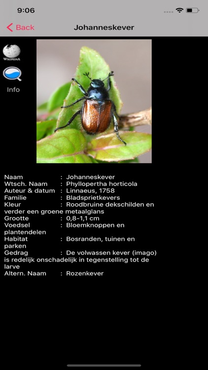 Insecten screenshot-3