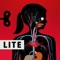 Try the lite version of the award-winning Human Body app for free