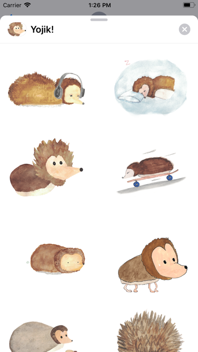 Yojik! Animated Hedgehogs screenshot 2