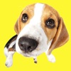 Icon Beagle Fun Emoji Stickers
