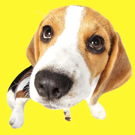 Beagle Fun Emoji Stickers Читы