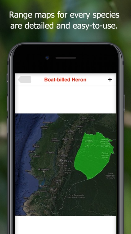 Birds of Ecuador - Field Guide screenshot-6