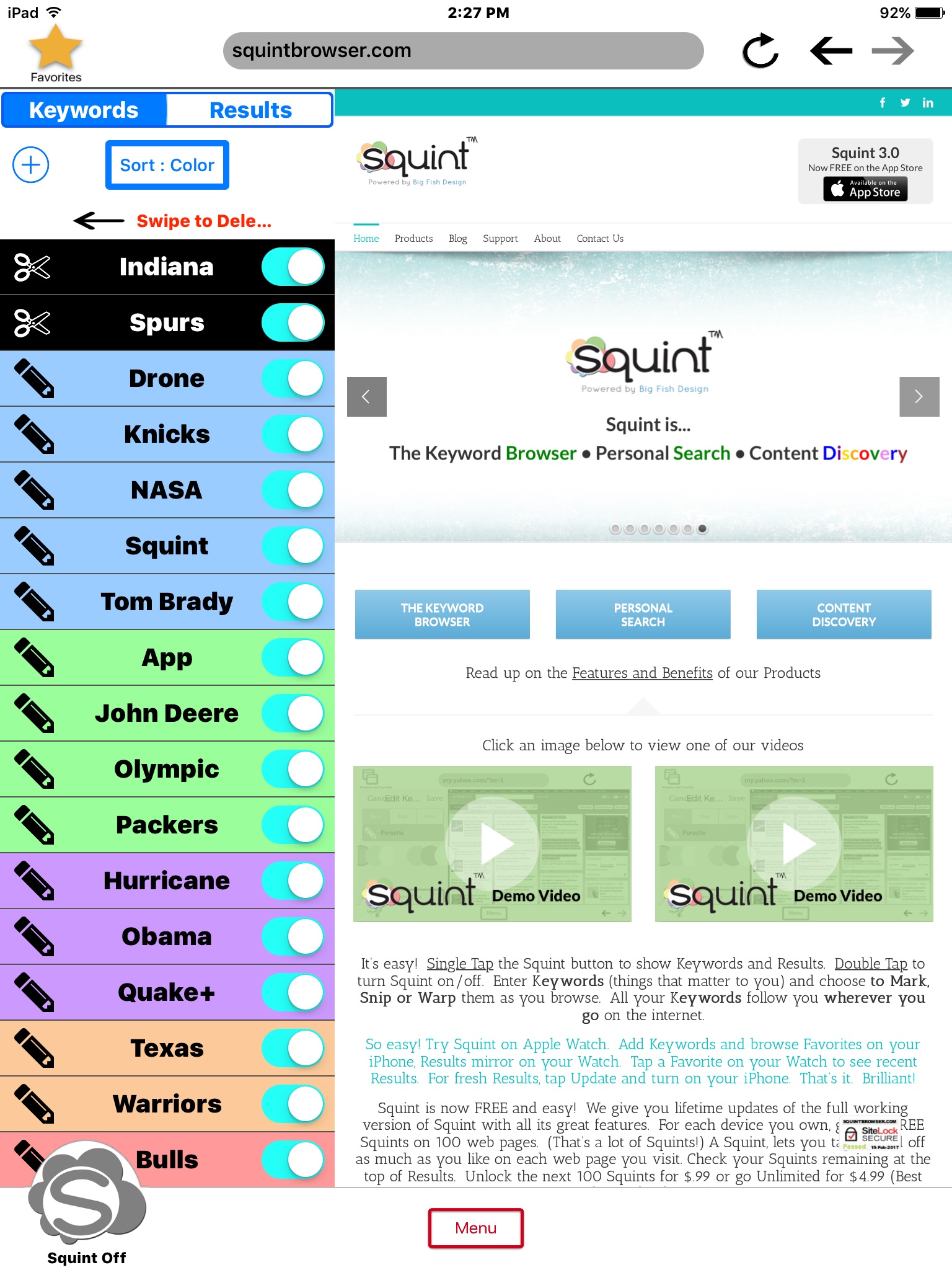 Squint Browser screenshot 2