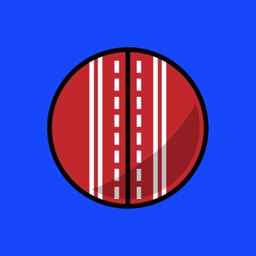 Mini-cricket