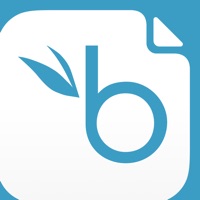 BambooHR Hiring app funktioniert nicht? Probleme und Störung