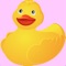 Tap the golden duck to make it quack