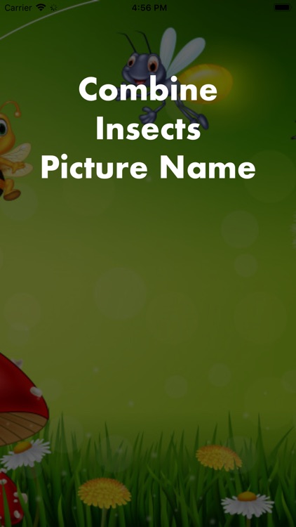 Combine Insects Picture Name