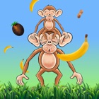 Funky Monkey Banana Junky