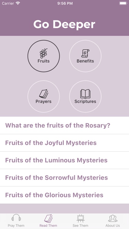 Rosary Army screenshot-4