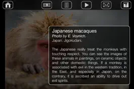 Game screenshot Japanese Macaques hack