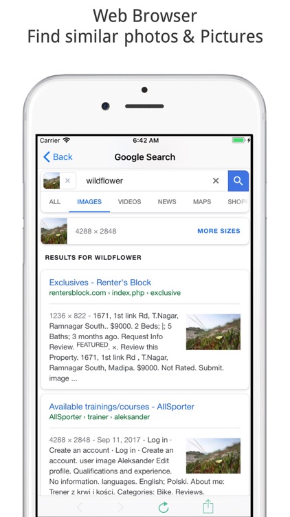 Reverse Image Search Tool