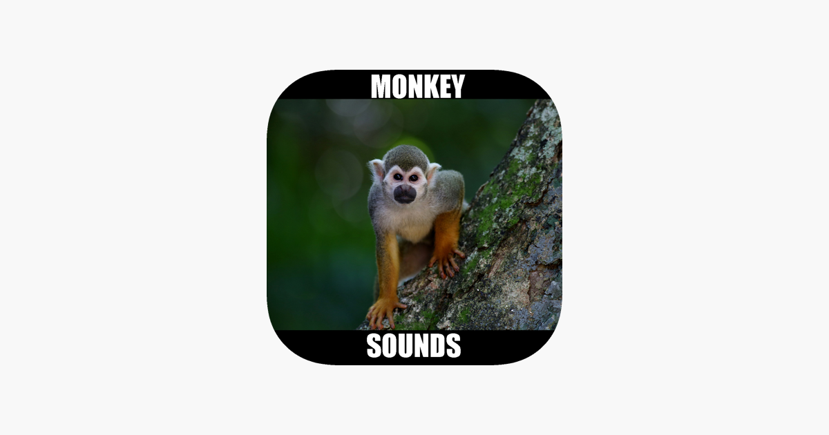 Animal Sounds Monkey.