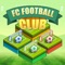 FC FOOTBALL CLUB is great game for relax