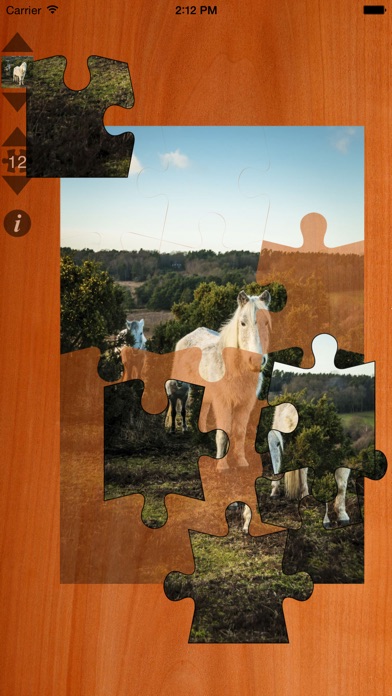 【图】Jigsaws Gold(截图1) 【图】Jigsaws Gold(截图1)