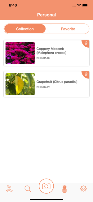 ‎PlantDetect - Plant Identifier Screenshot