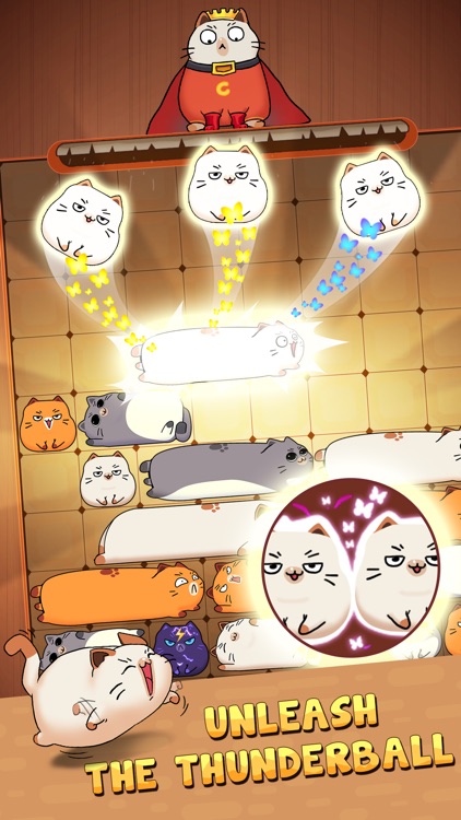 Haru Cats: Slide Block Puzzle screenshot-3