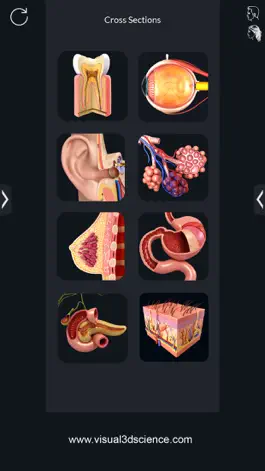 Game screenshot Human Anatomy apk