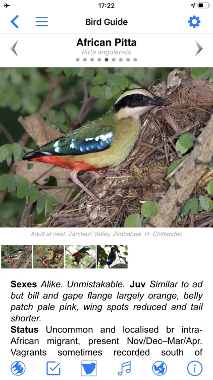 Roberts Bird Guide 2 screenshot-4