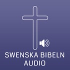 Top 29 Book Apps Like Swedish Bible Audio - Best Alternatives