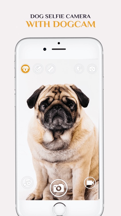 Dog Selfie Camera screenshot-3