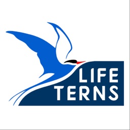 LifeTerns