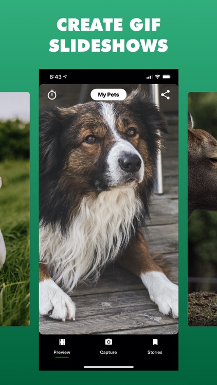 Flipbook - Photo Story Books