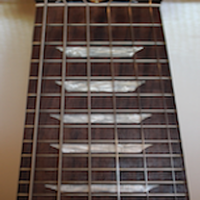 Electric Guitar Fret Addict