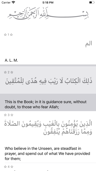The Noble Quran screenshot 2