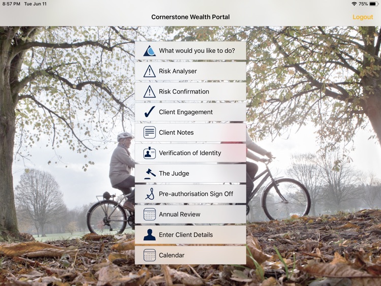 Cornerstone Wealth Portal
