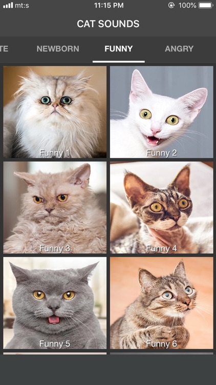Cat Sounds - Meow Soundboard screenshot-4