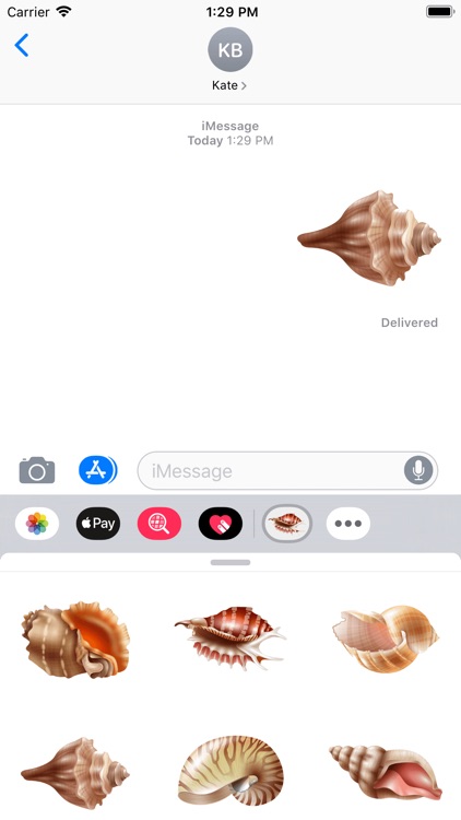 Seashells Ocean Stickers