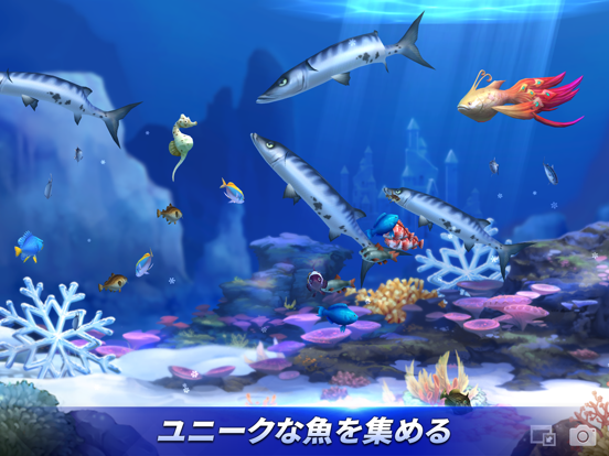 FishIslandのおすすめ画像8