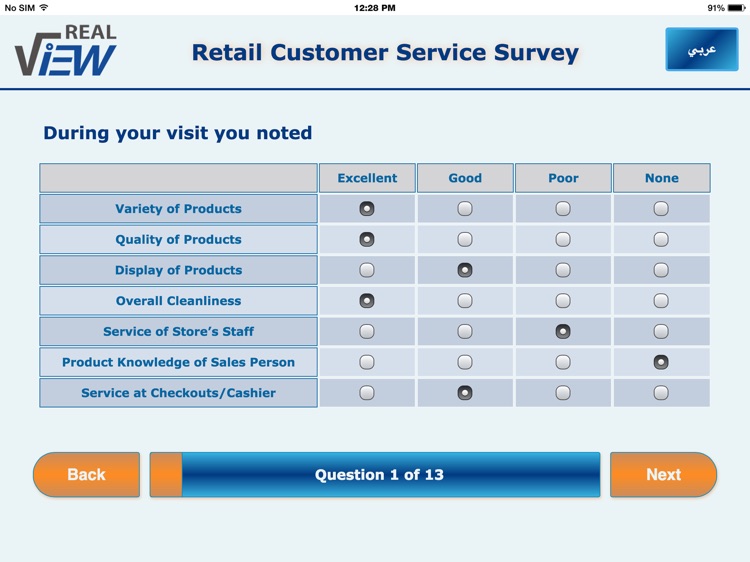 RealView Survey