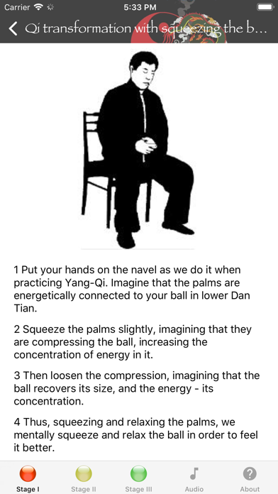 Zhong Yuan Qigong screenshot 3