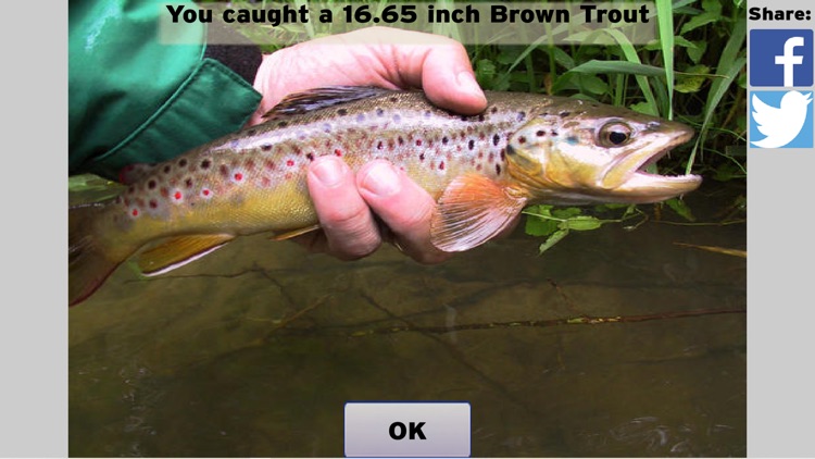 Fly Fishing Simulator screenshot-3