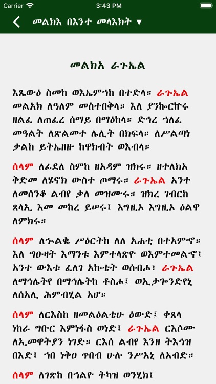 Melka Kidusan screenshot-3