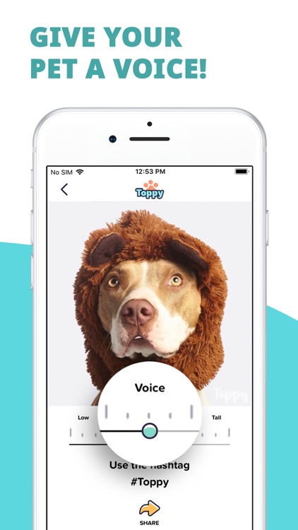 Toppy - My Talking Animals Pro screenshot-4