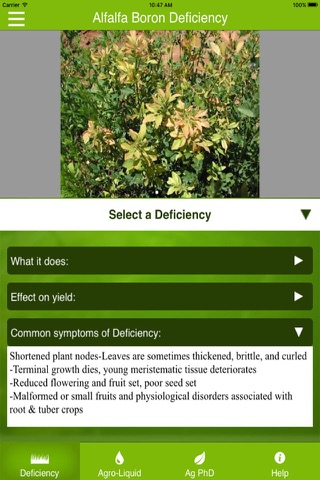 Nutrient Deficiencies by Crop - náhled