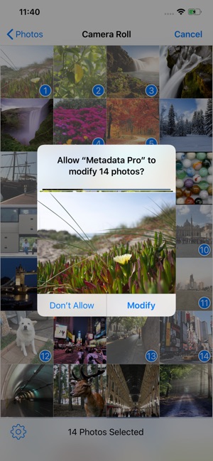 Metadata Pro(圖7)-速報App