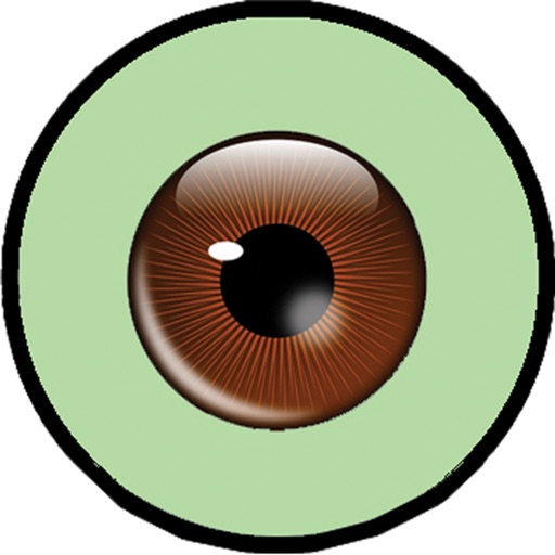 Third Eye Camera Icon
