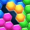 Hexa Block 1010 is a block puzzle game