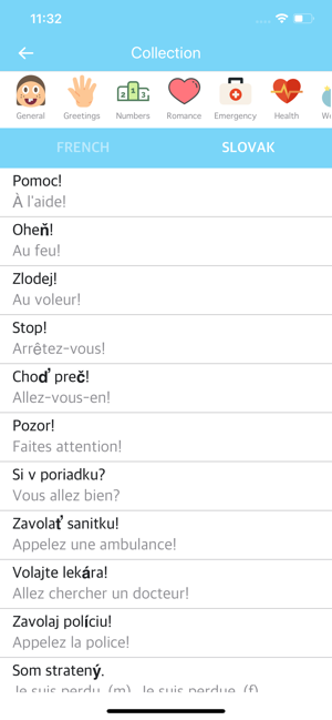 French Slovak Dictionary(圖2)-速報App