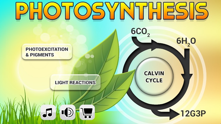 Biology Photosynthesis Lite