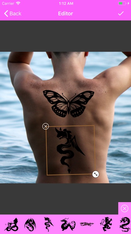 Flying Tattoos on Your Body